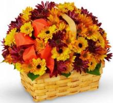 Yellow and Purple Chrysanthemums Basket Yellow and Purple Chrysanthemums Basket