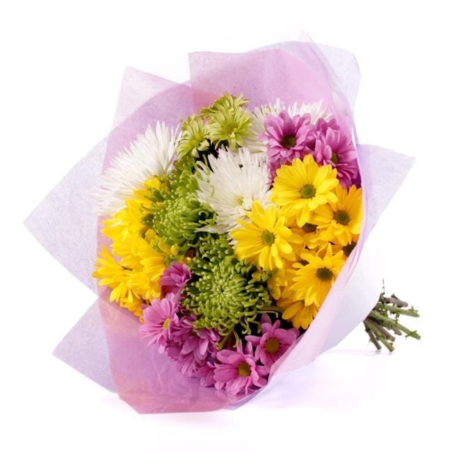 Purple, Yellow and White Chrysantimums product1234