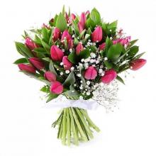 25 pink tulips in a Bunch